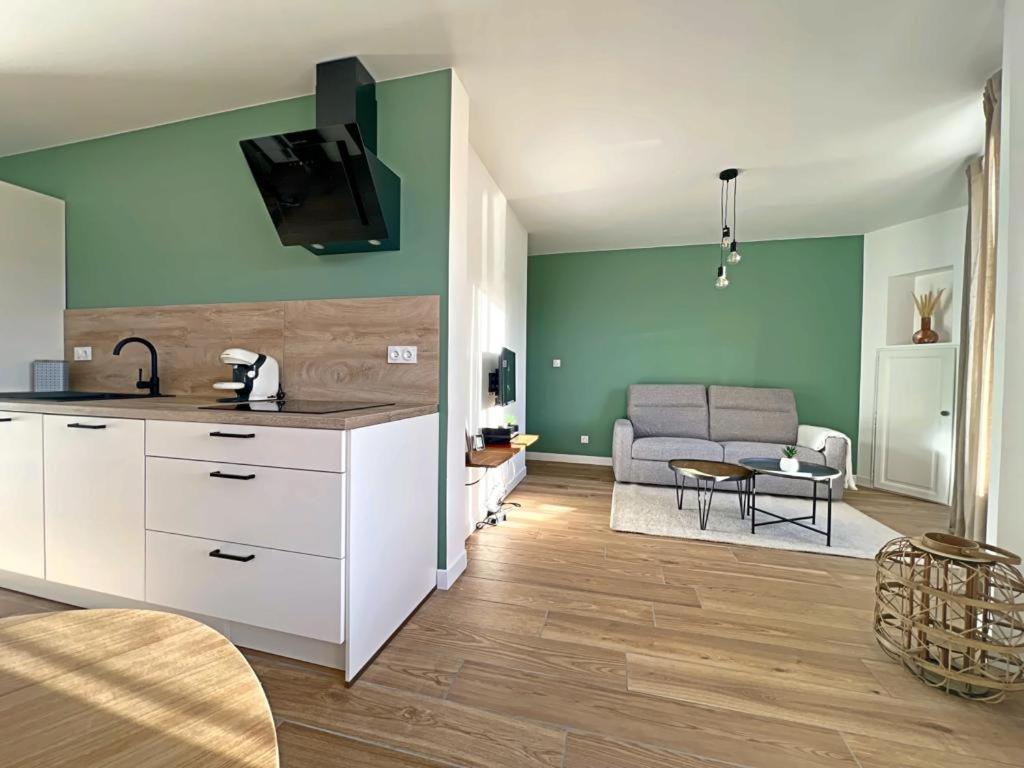 Appartement Coup De Coeur. St Etienne-Rochetaillee Saint-Etienne  Exterior photo