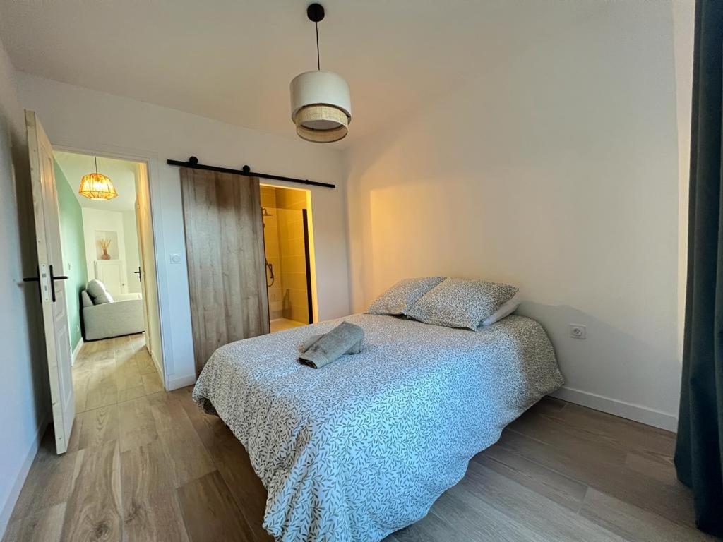 Appartement Coup De Coeur. St Etienne-Rochetaillee Saint-Etienne  Exterior photo
